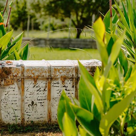 Villa Marina Perdika  Ngoại thất bức ảnh