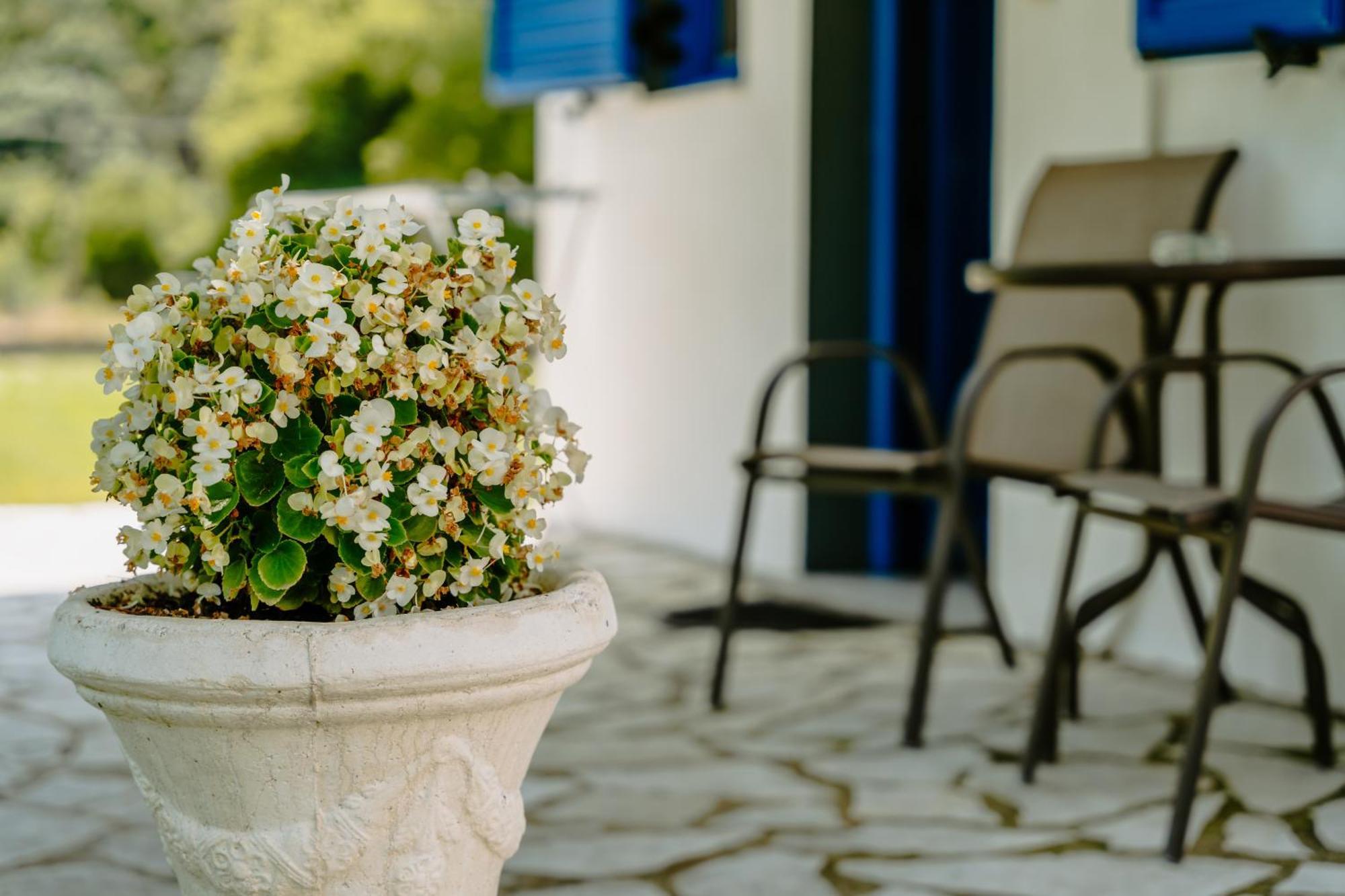 Villa Marina Perdika  Ngoại thất bức ảnh